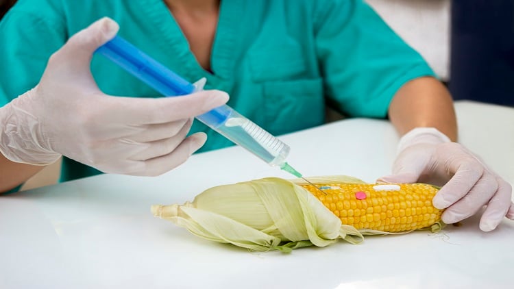 South Korea pushes mandatory GM labelling for processed foods